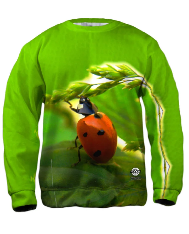 Rugged Chic Pull Ups Ladybug