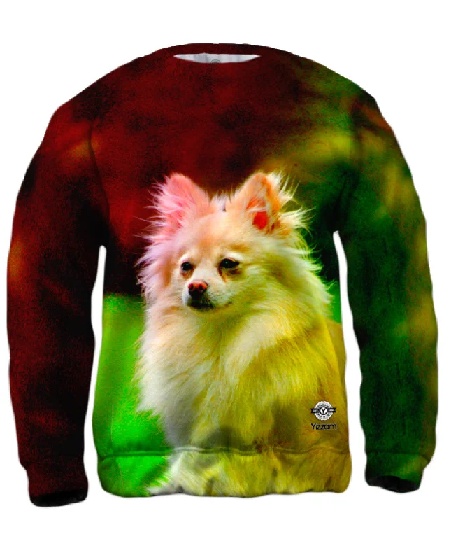 Soft Fitwear Pomeranian Puppy