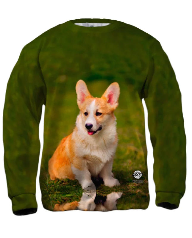 Sleek Prints Pembroke Welsh Corgi Puppy